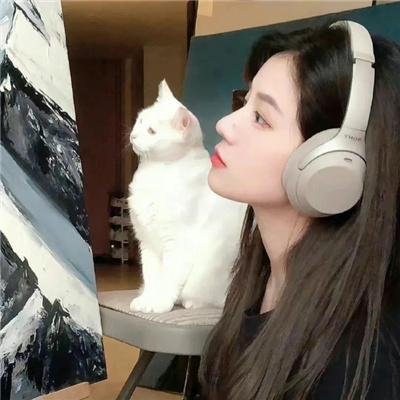 婚词离曲